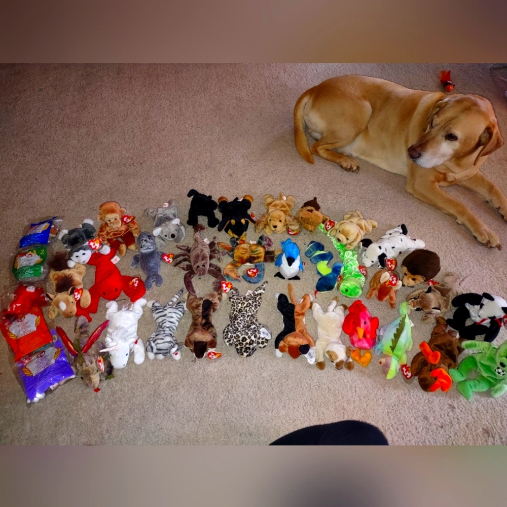 Ty Beanie Baby Lot 32 PCs